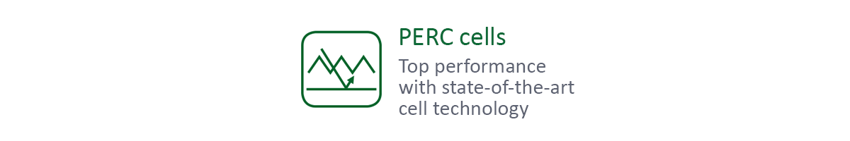 PERC cells