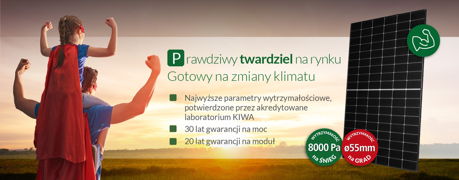 Moduł fotowoltaiczny serii Twardy 