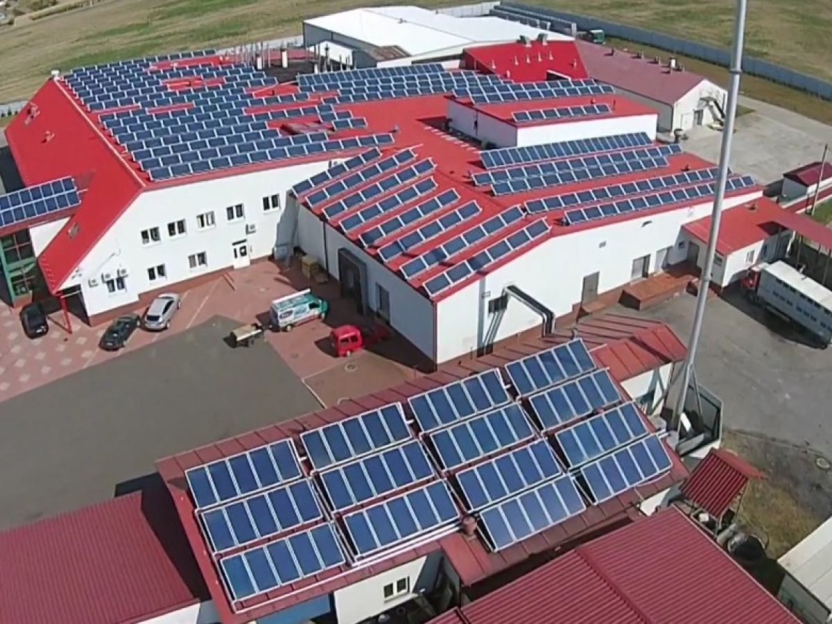 Power of the system: 100,0 kWp, Location: Górno (woj. podkarpackie), Project: Suntrans Przeworsk