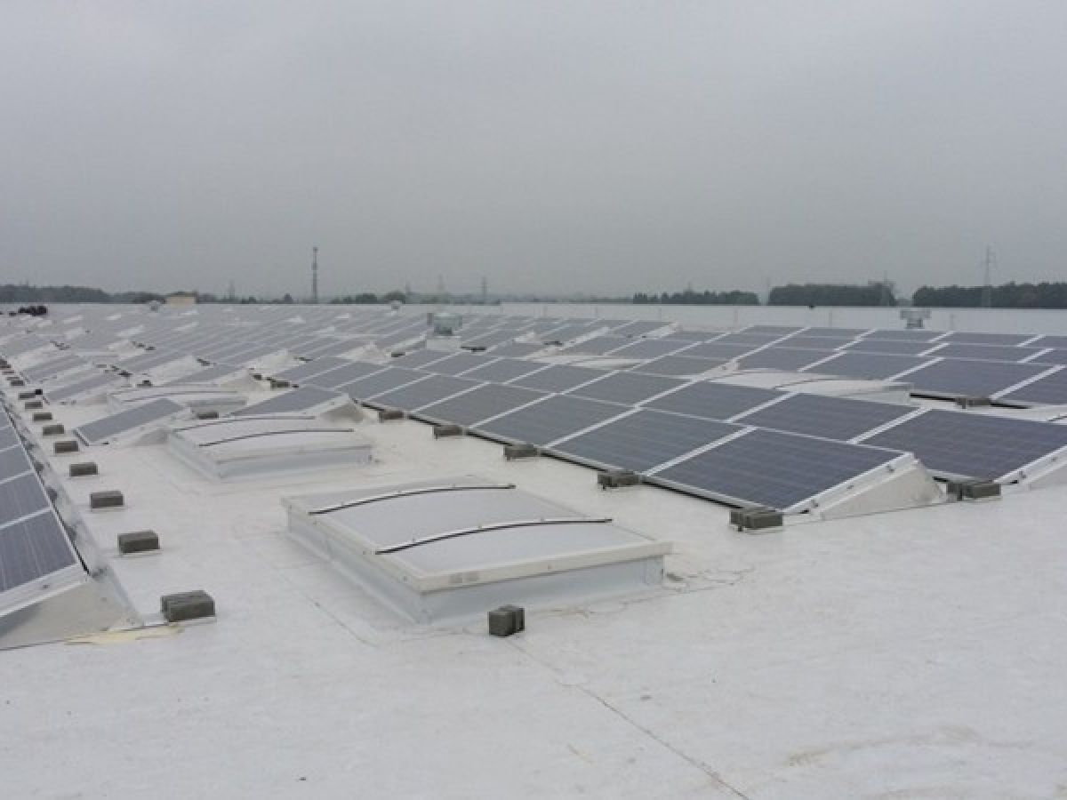 Power of the system: 65,28 kWp, Location: Stargard (woj. zachodniopomorskie), Project: Selfa GE SA