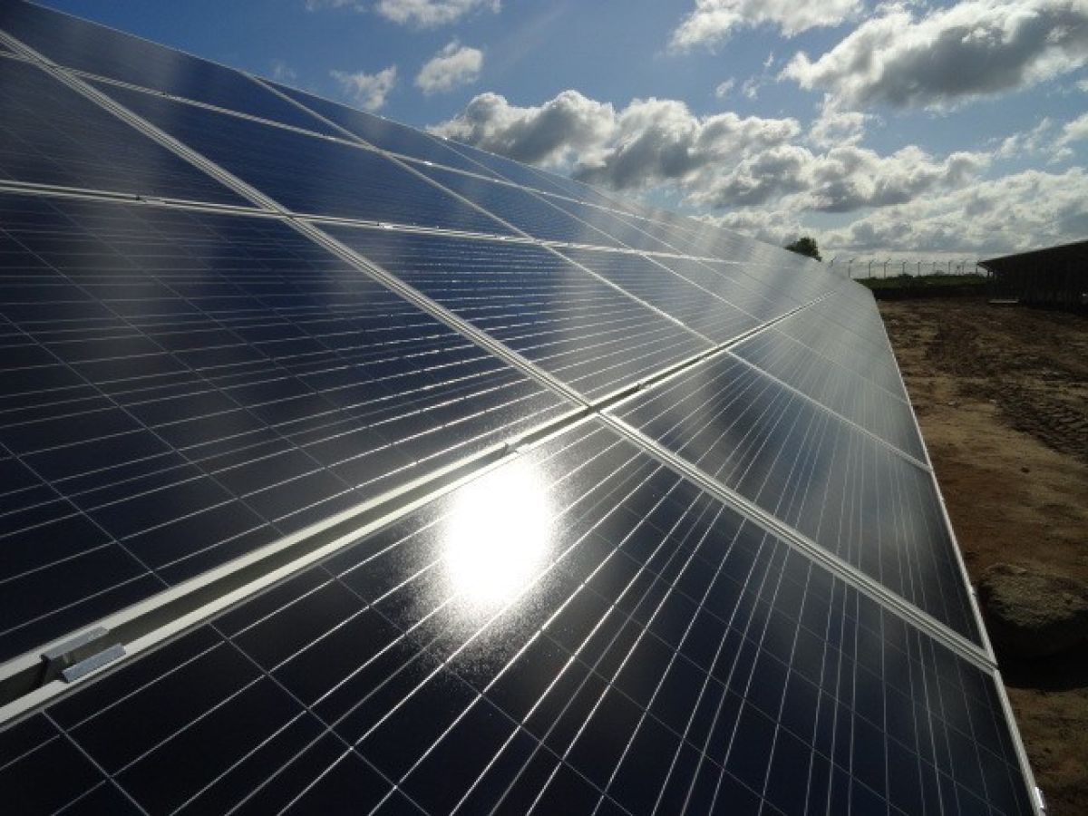 Moc instalacji: 255 kWp, Lokalizacja: Jedwabno (woj. warmińsko-mazurskie), Realizacja: OPEUS